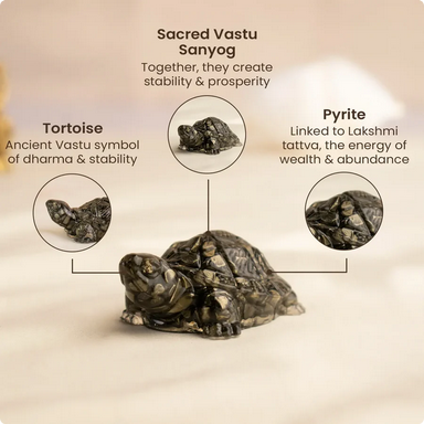 Vastu Pyrite Tortoise (Kachhua)