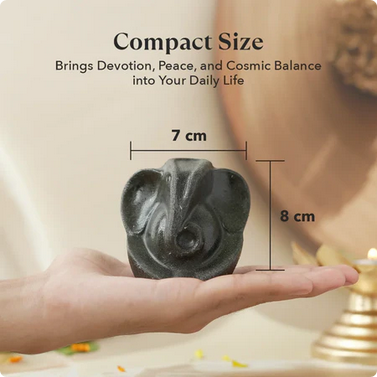Sampoorna Ganesha Pyrite Combo