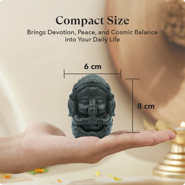 Sampoorna Ganesha Pyrite Combo