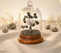 Pyrite Dome Tree