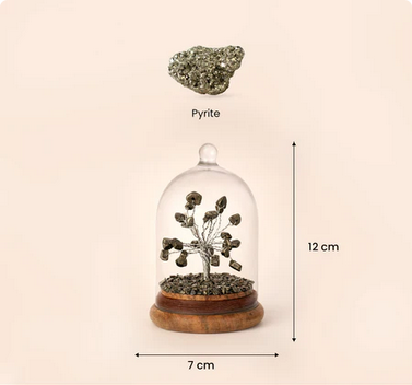 Pyrite Dome Tree