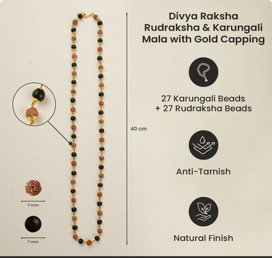 Divya Raksha Rudraksha & Karungali Mala with Gold Capping