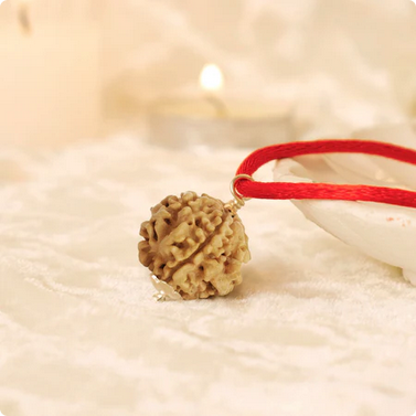Nepal Origin 1 Mukhi Rudraksha - 17mm to 22mm (Under Developed)