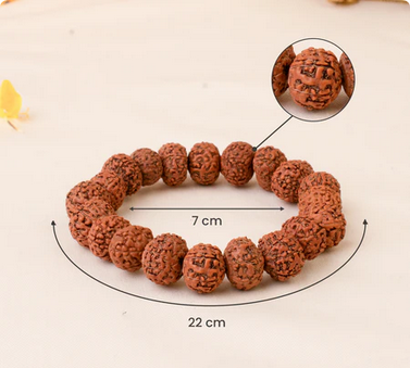 7 Mukhi Rudraksha Bracelet
