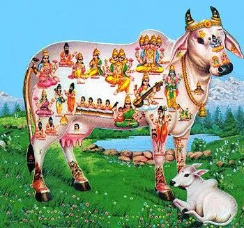 गौ माता सेवा | गौ दान एवं गौ संरक्षण