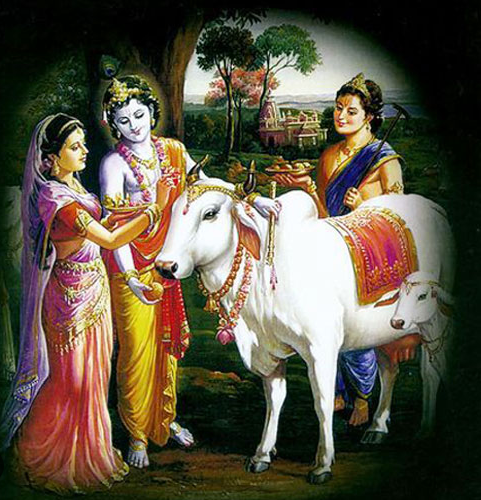 गौ माता सेवा | गौ दान एवं गौ संरक्षण