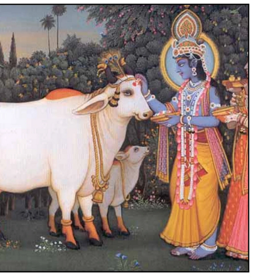 गौ माता सेवा | गौ दान एवं गौ संरक्षण